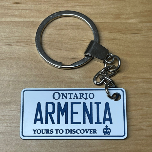 License Plate Keychain - Image 4